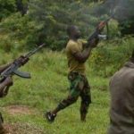 killed vigilantes in niger state