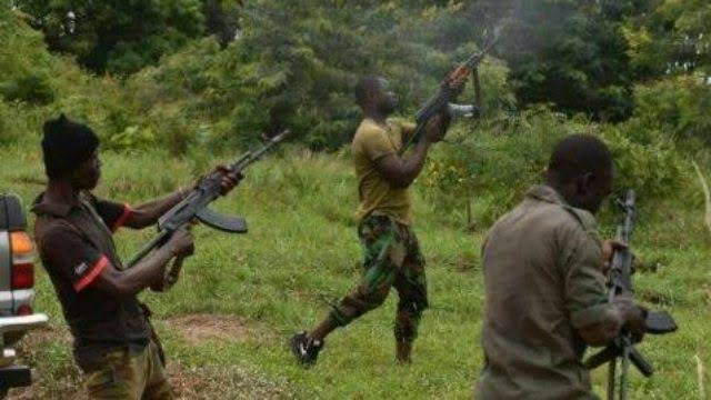 killed vigilantes in niger state