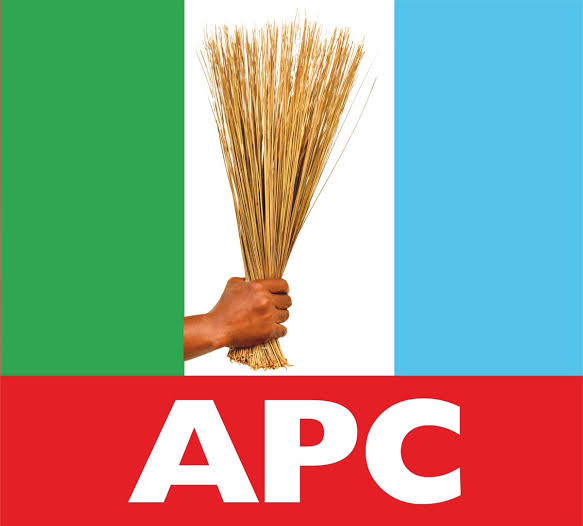 APC Leaders Should Stop Toying With Our Future, Aspirant Cries Out