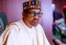 Plot To Impeach Buhari Thickens As Aggrieved Lawmakers Move Against Senate President