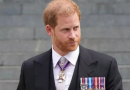 Prince Harry Allegedly Obtained Police Files On Mother’s Death