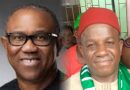 Nigeria, Ndokwa West Will Be Better With Peter Obi, Chuks Onyemulu – Okwuokei