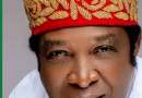 Buhari Orders Manhunt For Killers Of Enugu East LP Senatorial Candidate