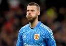 De Gea Turns Down Contract Extension From Man United