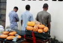 NDLEA Arrests Major Drug Distributor In Kwara