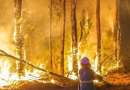 Western Australia Residents Told To Relocate Over Wildfire Surge