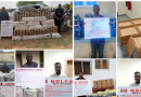 NDLEA Confiscates 300,000 Tramadol Pills From Pakistan, Nabs Suspects 