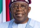 Like Tinubu, Like Council of State Members