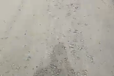 Section of Abraka-Abbi road under construction